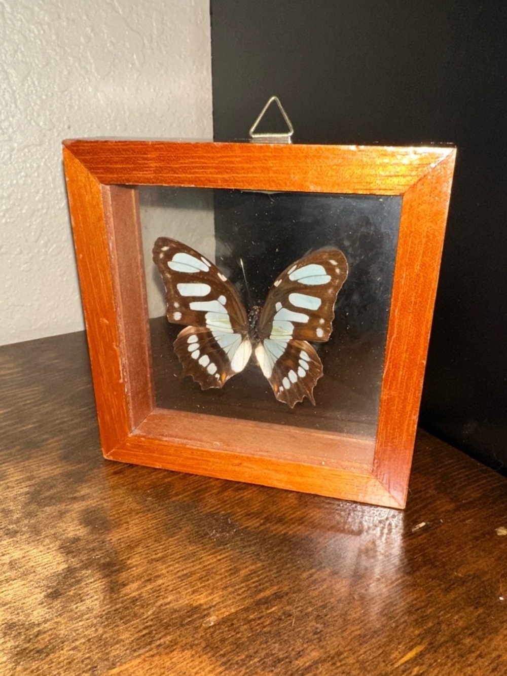 Framed Sipreota Stelenes Butterfly Wall Accent in Brown frame 4x4 - Picture 2 of 3